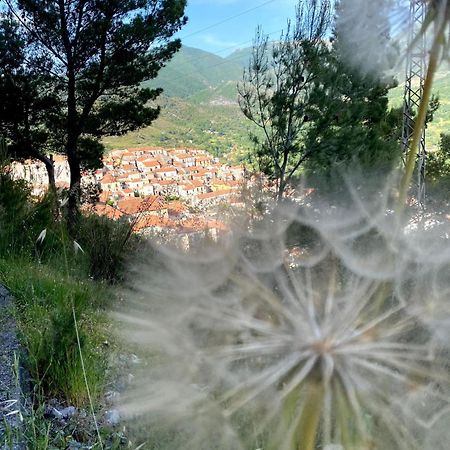 Casa- Vacanza Giro' - C2A6Peu3Ow Aieta Экстерьер фото